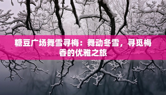 糖豆广场舞雪寻梅:舞动冬雪,寻觅梅香的优雅之旅 糖豆广场舞雪寻梅:舞动冬雪,寻觅梅香的优雅之旅