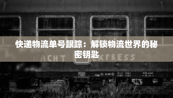 快递物流单号跟踪:解锁物流世界的秘密钥匙 快递物流单号跟踪:解锁物流世界的秘密钥匙