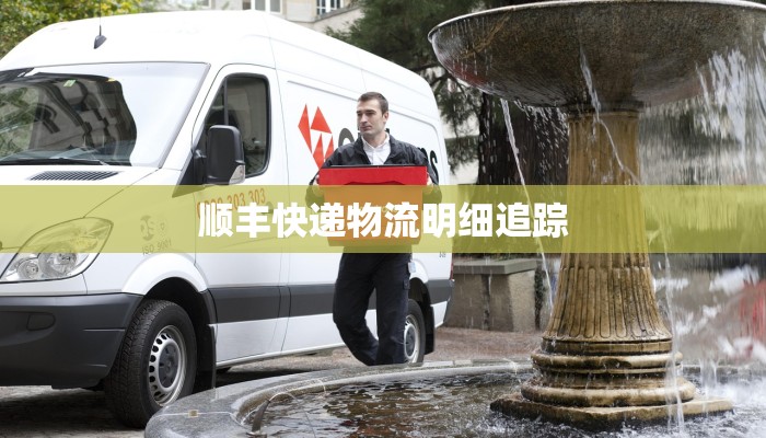 顺丰快递物流明细追踪